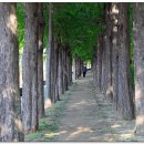 남천공원 이미지