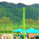 영강체육공원 축구장 이미지