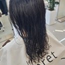 봄날의 댕댕이 네이버블로그