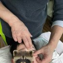 주치영 힐링센터 후기