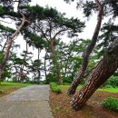 요월정 화장실 이미지