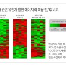 미라클엣지 이미지