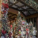 데이앤나이트 | 코사무이 차웽비치 미쉐린 맛집 데이 앤 나이트 (Day &amp; Night of Koh Samui)