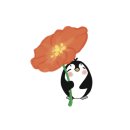 고미콩 네이버블로그