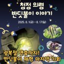 평생학습관(별관) 강당 | 8월 17일 종료! 광복절 연휴 의령곤충생태학습관 반딧불이 체험 다녀왔어요