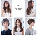 비바뷰티