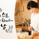 고양이라 좋은 날 이미지
