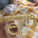 🪲 “요즘 애들 곤충채집 좋아하나요?” 아이가 갑자기 자연에 빠졌을 때, 엄마는 뭘 준비해야 할까?