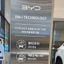 6 | [BYD 서초전시장] 돌핀 시승 후기! 보조금 중단 대처법, 씨라이언 6 실물 후기