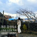 유달리 동복 | 제주숙소에 Chill할 사람! 구좌읍 오션뷰 독채 예쁜 숙소, 유달리동복♡