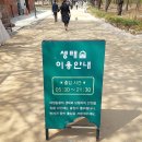 서울숲11 | 서울 벚꽃명소 서울숲 후기 (2025 벚꽃 만개시기)