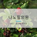 나노필의원 이미지