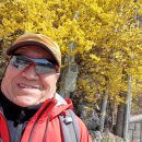 고릴라당구장 이미지