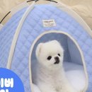 펫 하우스 이미지