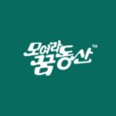 대구왕선초등학교 이미지