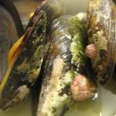 진도횟집 이미지