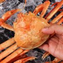 청정해역영덕대게 이미지