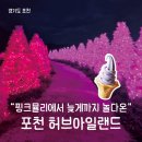 예쁜멍멍이 | [공지] 포천 허브아일랜드 핑크뮬리 보면서 밤 늦게까지 놀다온 후기