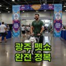 먼치캣 | 2025 광주 펫쇼: 사전등록 &amp; 무료입장 팁