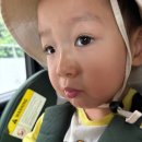진우농장 | 부산 화명동 대천천 계곡 가족나들이 후기 | 주차장 사장님 미담까지!