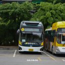 간선-51 이미지