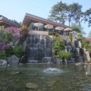 포레스트리솜 이미지