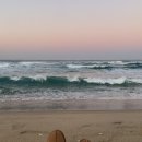 하평해변 이미지