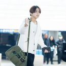 고양이에정원 이미지