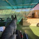 여수 슈가몽 이미지