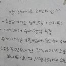 기억하개 이미지