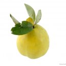 효자한의원 이미지