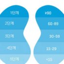 신사구체여과율 수치 eGFR 정상이 아니라면 보세요 이미지