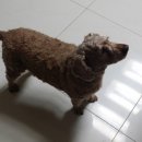 파리바게트 장안구청점 이미지