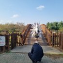 더시퀀스오피스 이미지