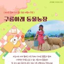 하이원 하늘아래 동물농장 이미지