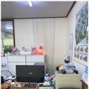 토박이부동산중개사무소 이미지