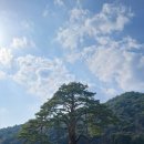 보은 속리산 법주사 힐링되는 세조길 걷기