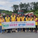 남일대해수욕장 이미지