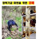 법전중학교 이미지
