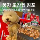 승리농장 | 풍자 또간집 김포 성원농장 야장 삼겹살 맛집, 애견동반 가능!