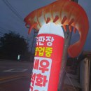 불타는새우석화