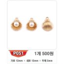 P051 이미지