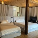 부여애견 이미지