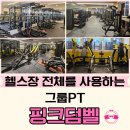 핑크덤벨 이미지