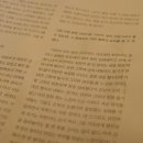 김용희 참치 이미지