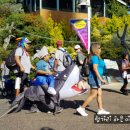 씨~월드 이미지