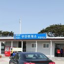 황소와나비 이미지