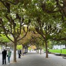 파크리움 (구:강남빌딩) | 금문교 Pier39 피셔맨즈와프 소살리토 트윈픽스 등 여기어때투어(구.온라인투어) 미서부 9월 패키지 후기