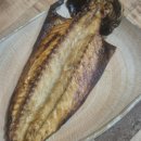 싱싱포차 | 대구 동구청 맛집, 정겨운 로컬 포차 '싱싱난리부르스' 방문 후기