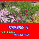 21C 공인중개사사무소 이미지